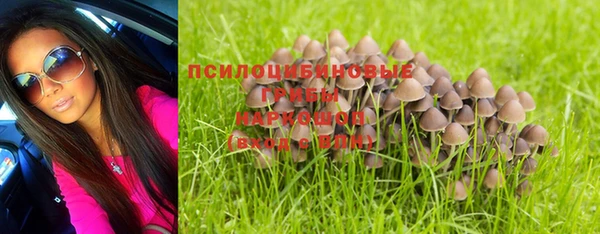 амф Абаза