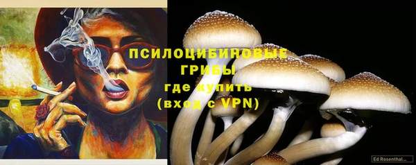 амф Абаза